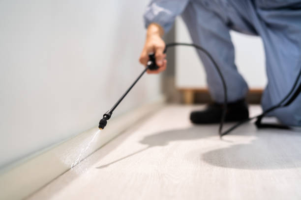 Licensed Pest Control service in New London, WI - Show Me Pest Control
