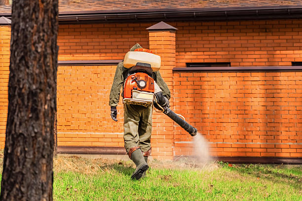 Top rated local Wasp Removal specialists in New London, WI